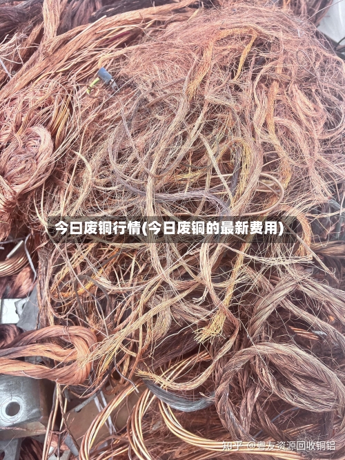 今曰废铜行情(今日废铜的最新费用)-第3张图片