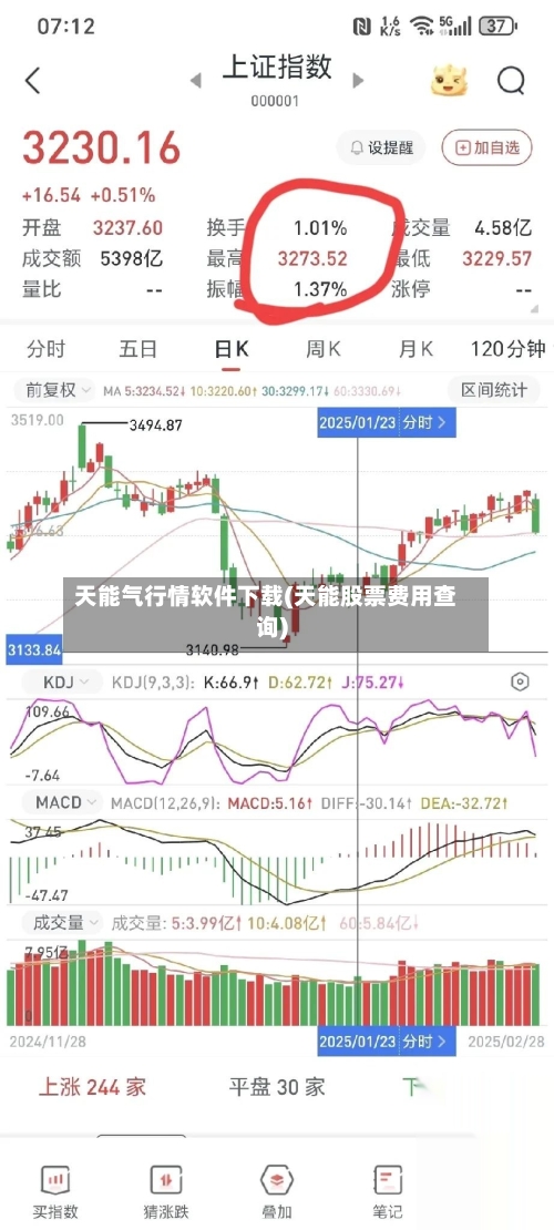 天能气行情软件下载(天能股票费用查询)