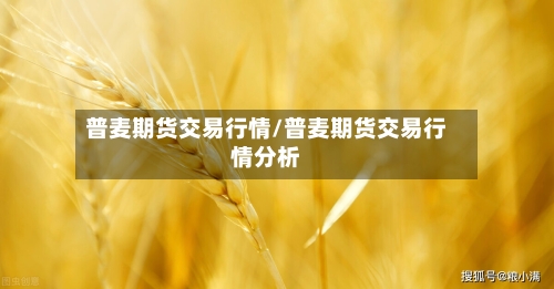 普麦期货交易行情/普麦期货交易行情分析-第2张图片