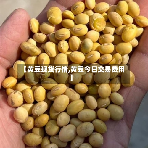 【黄豆现货行情,黄豆今日交易费用】
