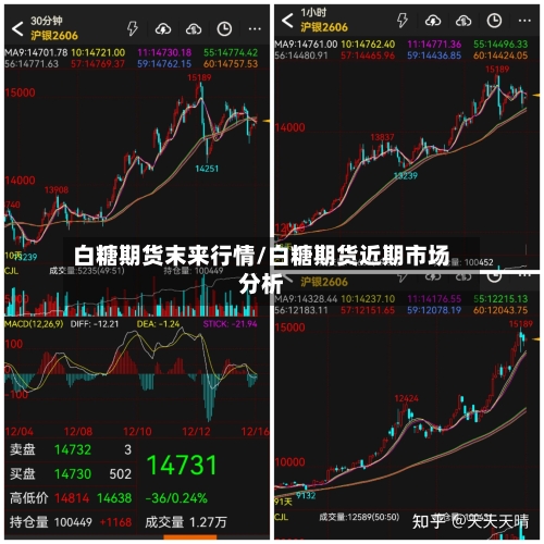 白糖期货末来行情/白糖期货近期市场分析-第3张图片