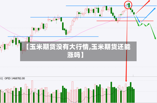 【玉米期货没有大行情,玉米期货还能涨吗】-第2张图片