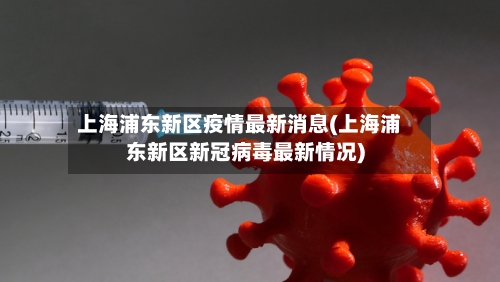 上海浦东新区疫情最新消息(上海浦东新区新冠病毒最新情况)-第3张图片