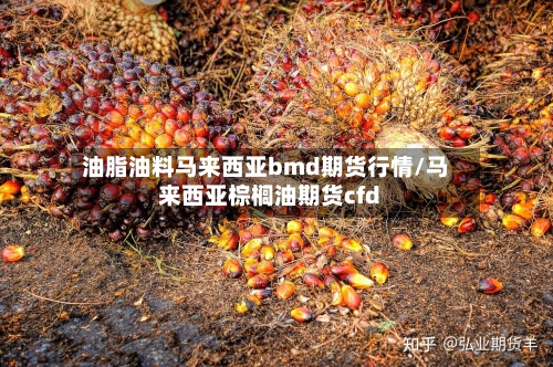 油脂油料马来西亚bmd期货行情/马来西亚棕榈油期货cfd-第2张图片