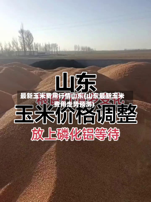 最新玉米费用行情山东(山东最新玉米费用走势预测)-第3张图片