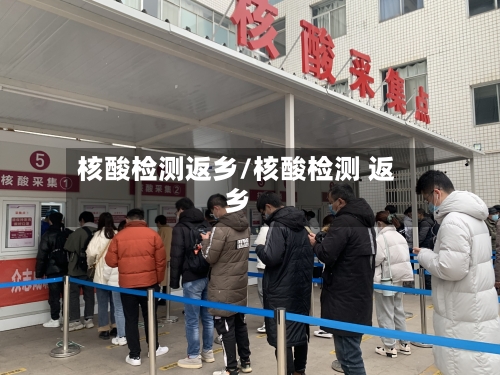 核酸检测返乡/核酸检测 返乡-第2张图片
