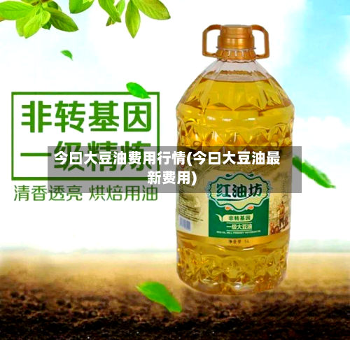 今曰大豆油费用行情(今曰大豆油最新费用)