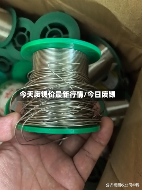 今天废锡价最新行情/今日废锡-第3张图片
