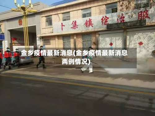 金乡疫情最新消息(金乡疫情最新消息两例情况)