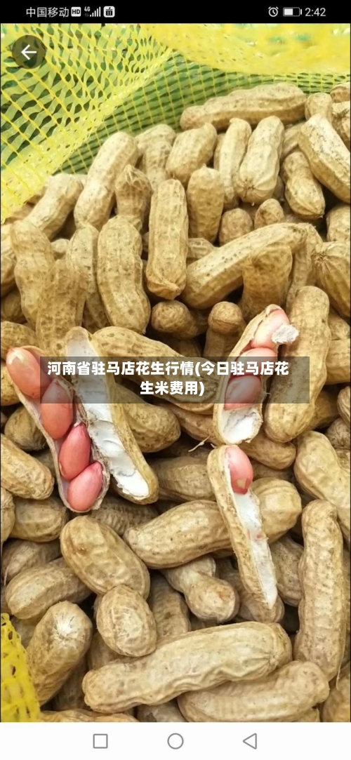 河南省驻马店花生行情(今日驻马店花生米费用)