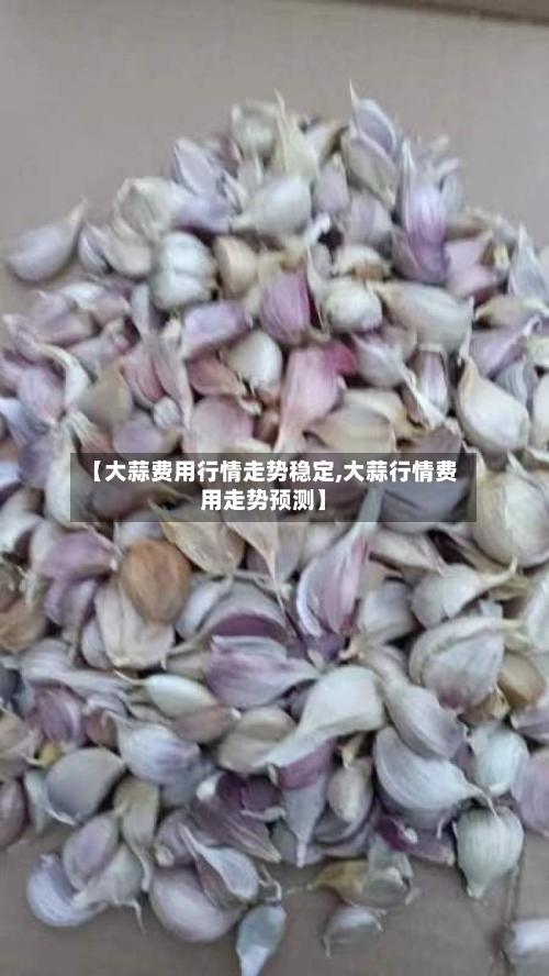 【大蒜费用行情走势稳定,大蒜行情费用走势预测】-第3张图片