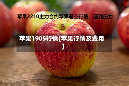 苹果1905行情(苹果行情及费用)-第2张图片