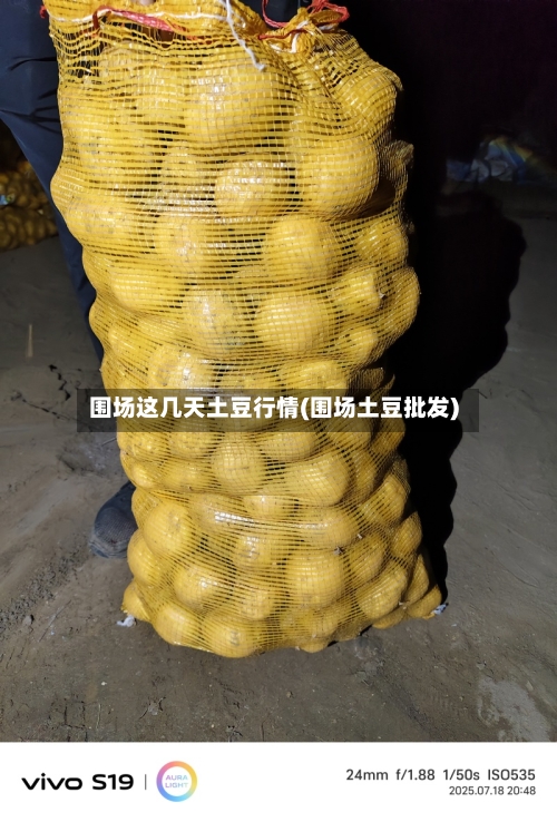 围场这几天土豆行情(围场土豆批发)