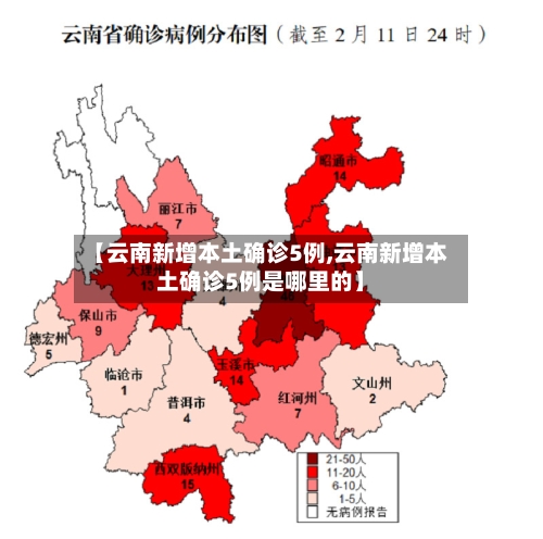 【云南新增本土确诊5例,云南新增本土确诊5例是哪里的】-第2张图片