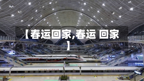 【春运回家,春运 回家】-第3张图片