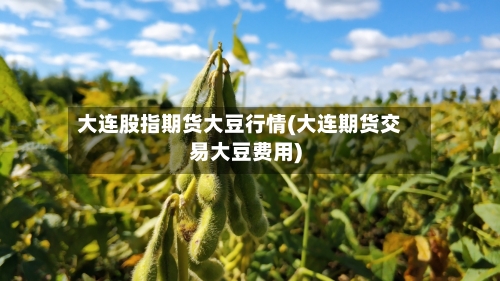 大连股指期货大豆行情(大连期货交易大豆费用)