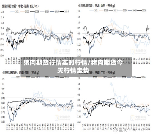 猪肉期货行情实时行情/猪肉期货今天行情走势