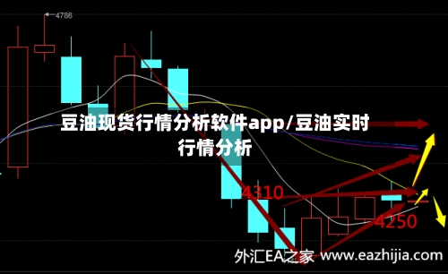 豆油现货行情分析软件app/豆油实时行情分析