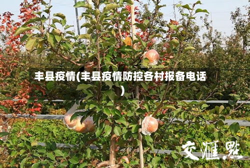 丰县疫情(丰县疫情防控各村报备电话)