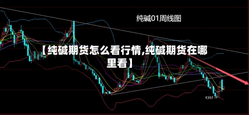 【纯碱期货怎么看行情,纯碱期货在哪里看】