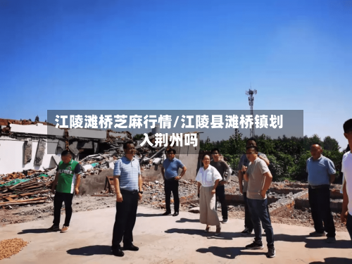 江陵滩桥芝麻行情/江陵县滩桥镇划入荆州吗