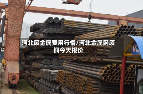 河北废金属费用行情/河北金属网废铜今天报价-第2张图片