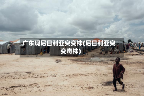 广东现尼日利亚突变株(尼日利亚突变毒株)-第2张图片