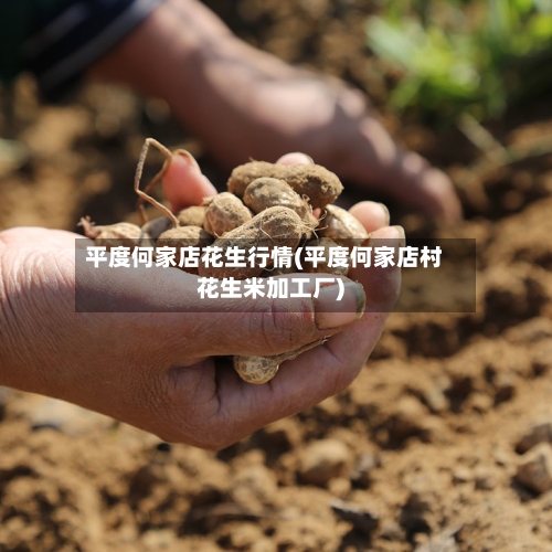平度何家店花生行情(平度何家店村花生米加工厂)-第2张图片