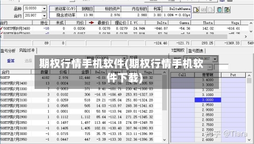 期权行情手机软件(期权行情手机软件下载)-第2张图片