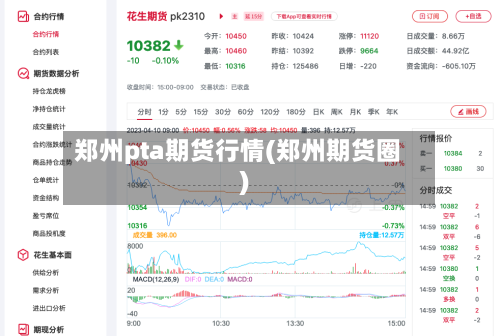 郑州pta期货行情(郑州期货圈)