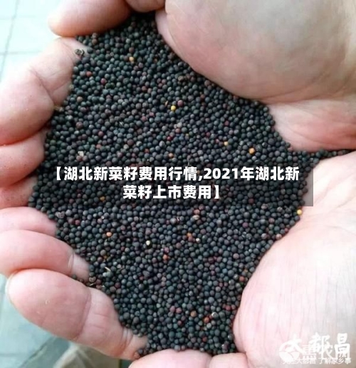 【湖北新菜籽费用行情,2021年湖北新菜籽上市费用】