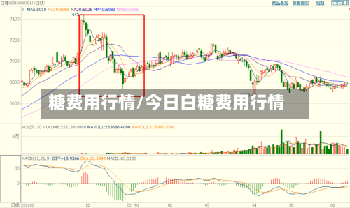 糖费用行情/今日白糖费用行情
