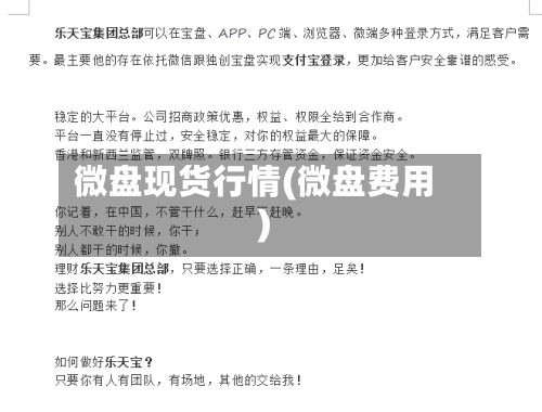 微盘现货行情(微盘费用)-第3张图片