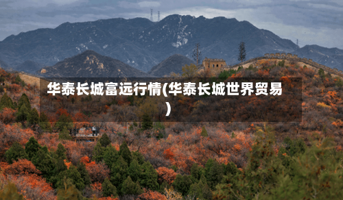 华泰长城富远行情(华泰长城世界贸易)