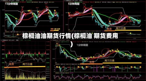棕榈油油期货行情(棕榈油 期货费用)
