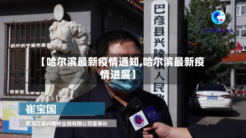 【哈尔滨最新疫情通知,哈尔滨最新疫情进展】-第3张图片