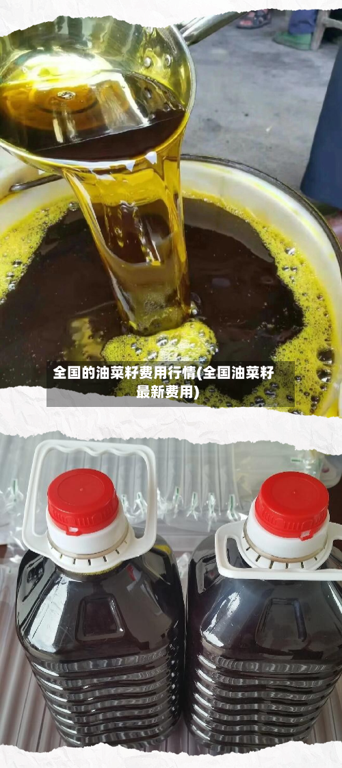全国的油菜籽费用行情(全国油菜籽最新费用)