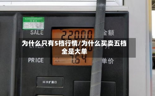 为什么只有5档行情/为什么买卖五档全是大单-第2张图片