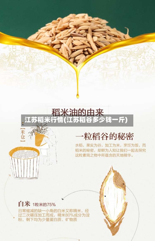 江苏稻米行情(江苏稻谷多少钱一斤)-第3张图片