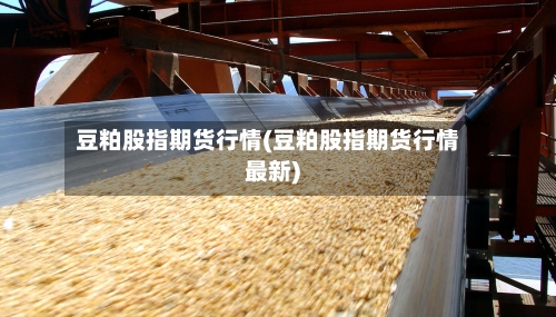 豆粕股指期货行情(豆粕股指期货行情最新)