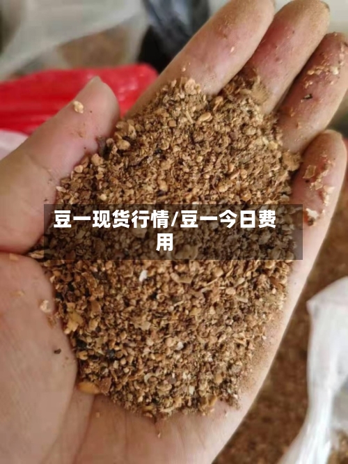 豆一现货行情/豆一今日费用-第2张图片