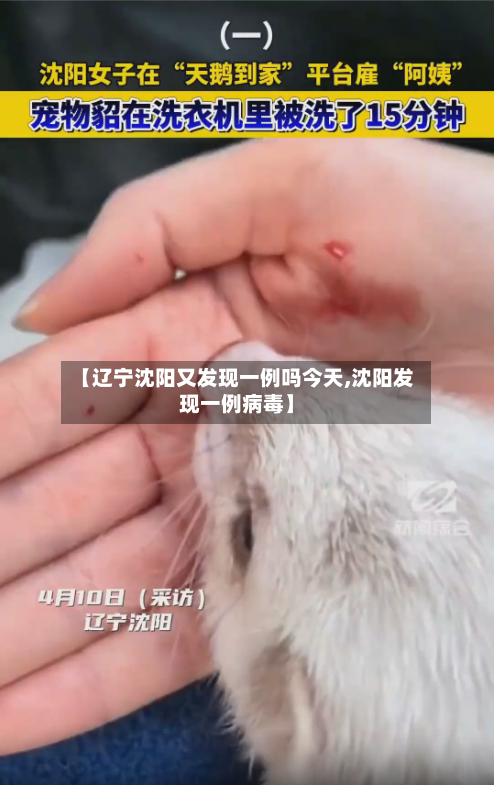 【辽宁沈阳又发现一例吗今天,沈阳发现一例病毒】