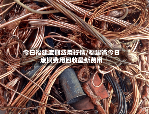 今日福建废铜费用行情/福建省今日废铜费用回收最新费用-第3张图片