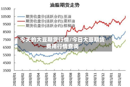 今天的大豆期货行情/今日大豆期货费用行情查询-第3张图片