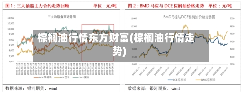 棕榈油行情东方财富(棕榈油行情走势)