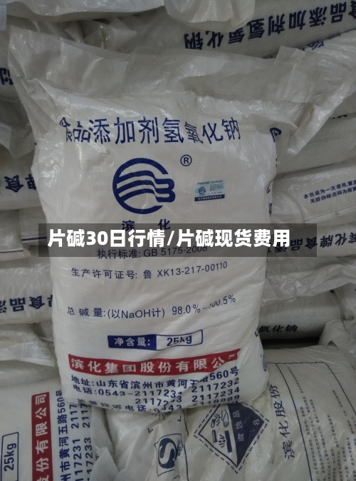 片碱30日行情/片碱现货费用