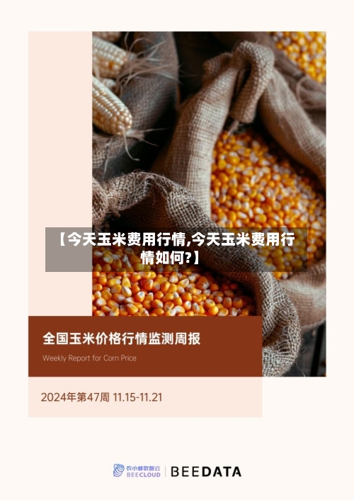 【今天玉米费用行情,今天玉米费用行情如何?】