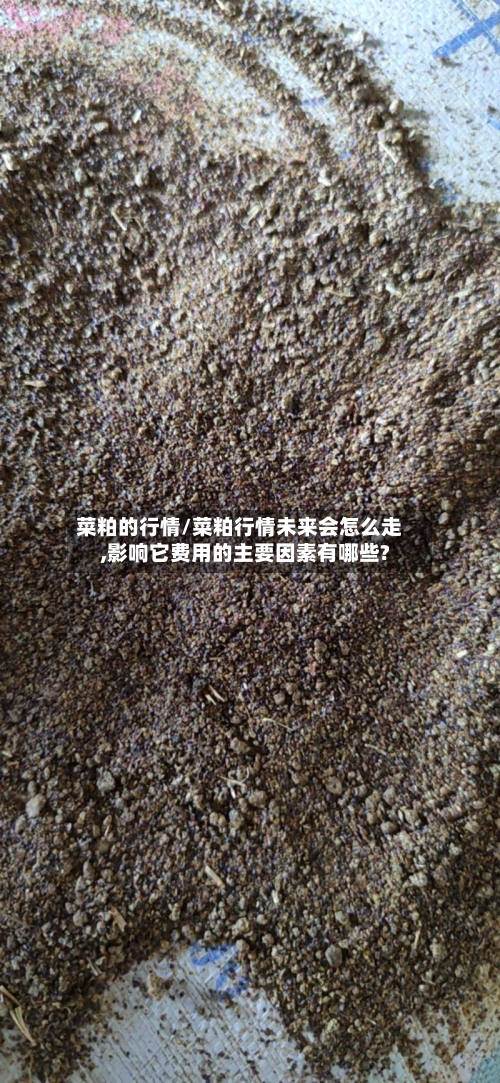 菜粕的行情/菜粕行情未来会怎么走,影响它费用的主要因素有哪些?-第2张图片