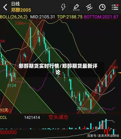 郑醇期货实时行情/郑醇期货最新评论