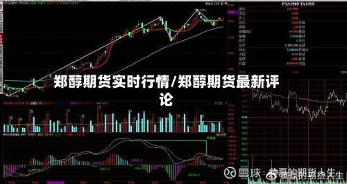 郑醇期货实时行情/郑醇期货最新评论-第2张图片